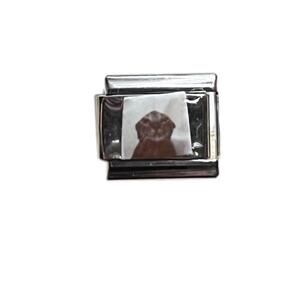 Photorealistic Cat getting poured on charm